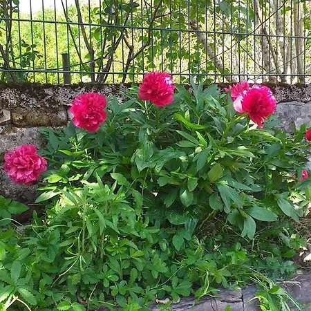 Ancienne Grange Rehabilitee, Piscine Et Jardin *
