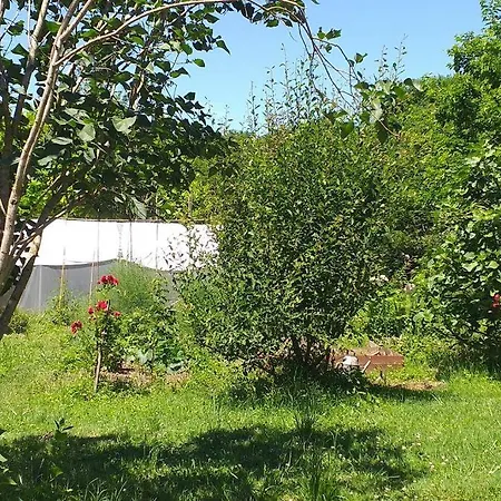 Ancienne Grange Rehabilitee, Piscine Et Jardin Tatil Evi Faycelles
